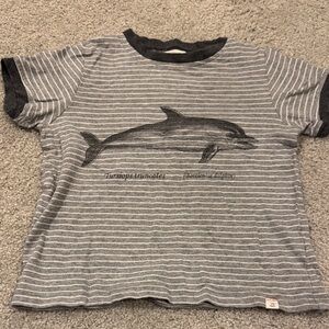 Gray Striped Dolphin Graphic Short Sleeve Tee